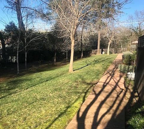 Front walkway and yard