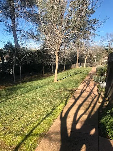 Front walkway and yard