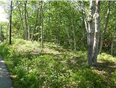 5th image of Lot 2 Oceanand Endcliffe Avenue
