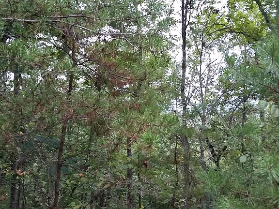 3rd image of LOT 35 Dogwood Dr Lot 35