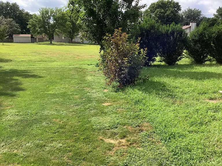 Beautiful back yard that backs to football field sized green space maintained by HOA (dues paid by owner/manager)