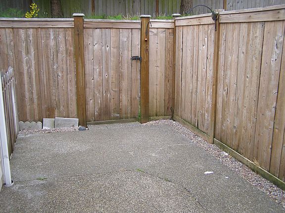 Backyard pic 2