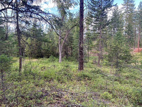 2nd image of Granite Lake Rd #6