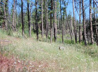 Allen Gulch Rd, Wolf Creek, MT 59648
