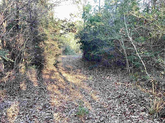 3rd image of 67 McIntyre Rd