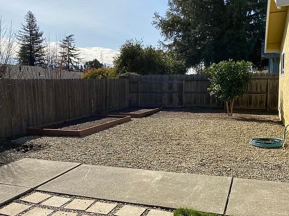 Garden beds and a Lemon tree