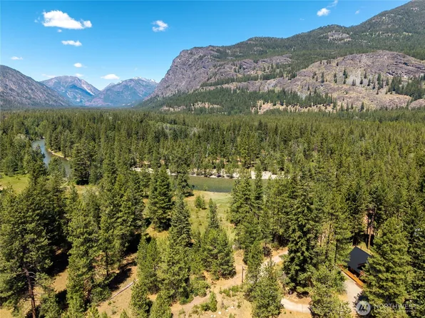 65 Mazama Pines Lane, Mazama, WA 98833