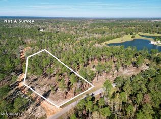 Cowart Holliday Rd LOT 3, Poplarville, MS 39470