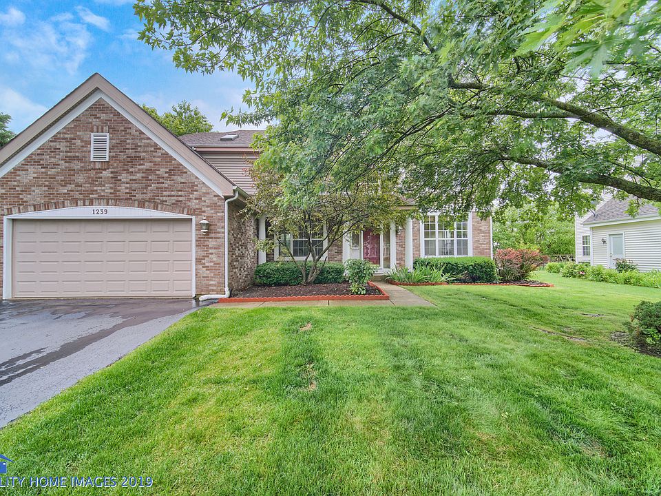 1st image of 1239 William Dr