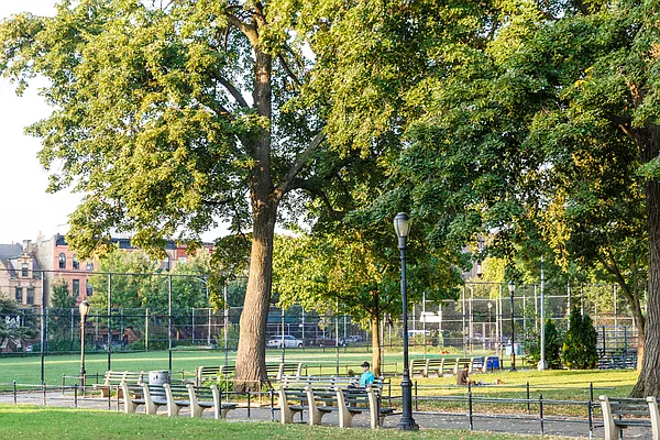 Sold by MNS | media 33