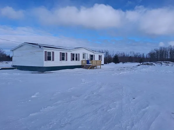 9706 Haken Rd, Alpena, MI 49707