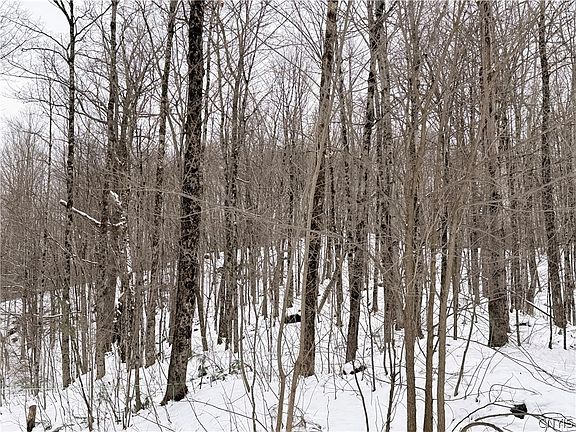 5th image of 9689 Erie Canal Rd