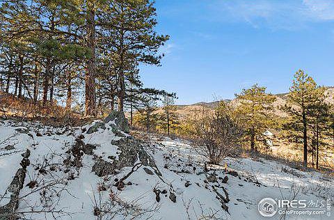 4th image of 1004 Snow Top Dr