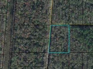 Deep Creek Blvd, Bunnell, FL 32110