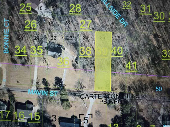 LOT 25 Mavin St, Eastaboga, AL 36260