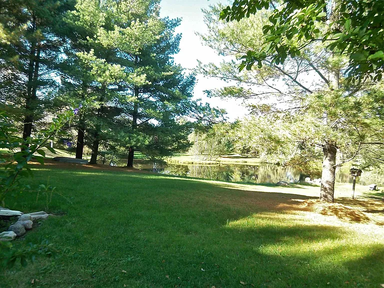 View from house to pond.