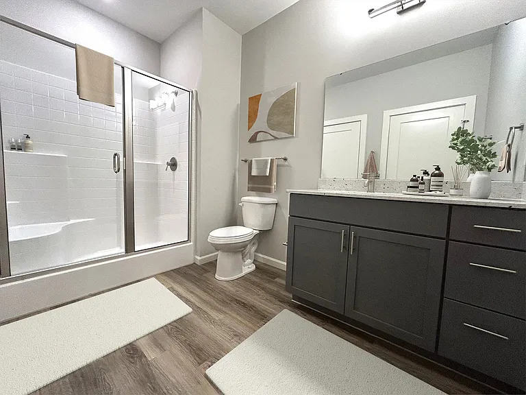 Bathroom and Walk-in Shower