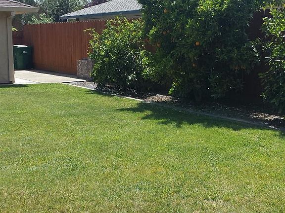 4th image of 865 E Kristen Ct