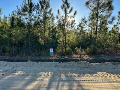 TBD Barts Rd. LOT E1 and E2, Loris, SC, 29569
