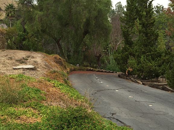 Driveway