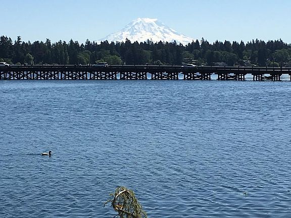 Mt Rainier views
