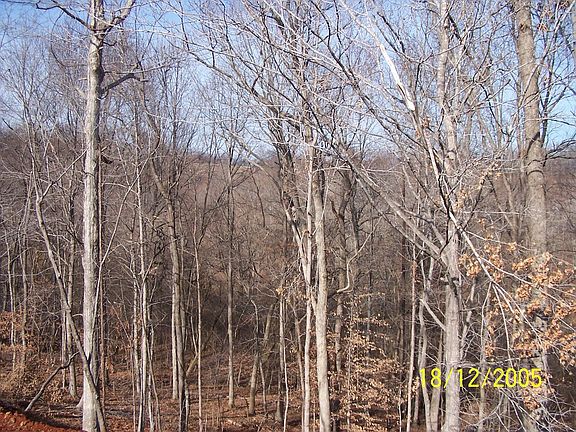Back yard in winter