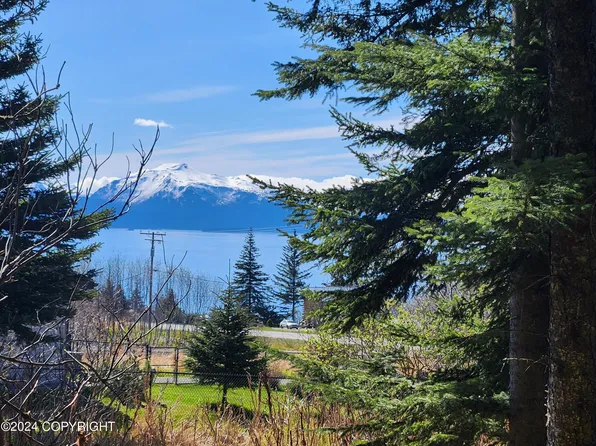 1742 Sterling Hwy, Homer, AK 99603