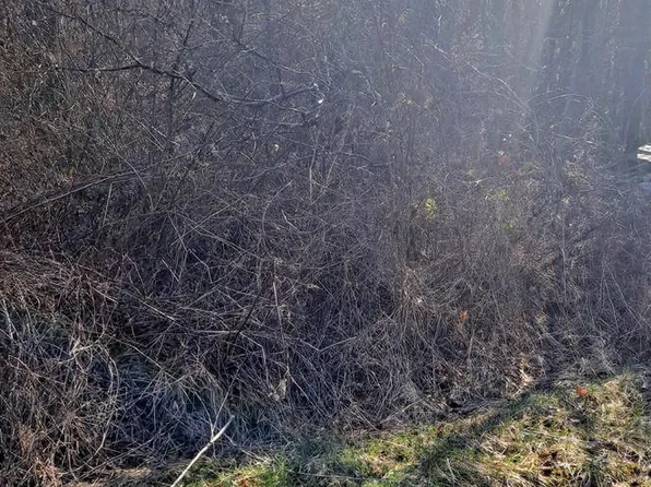 Blades Trl, Max Meadows, VA 24360