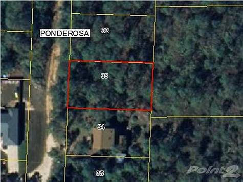4th image of 1674 Ponderosa Dr