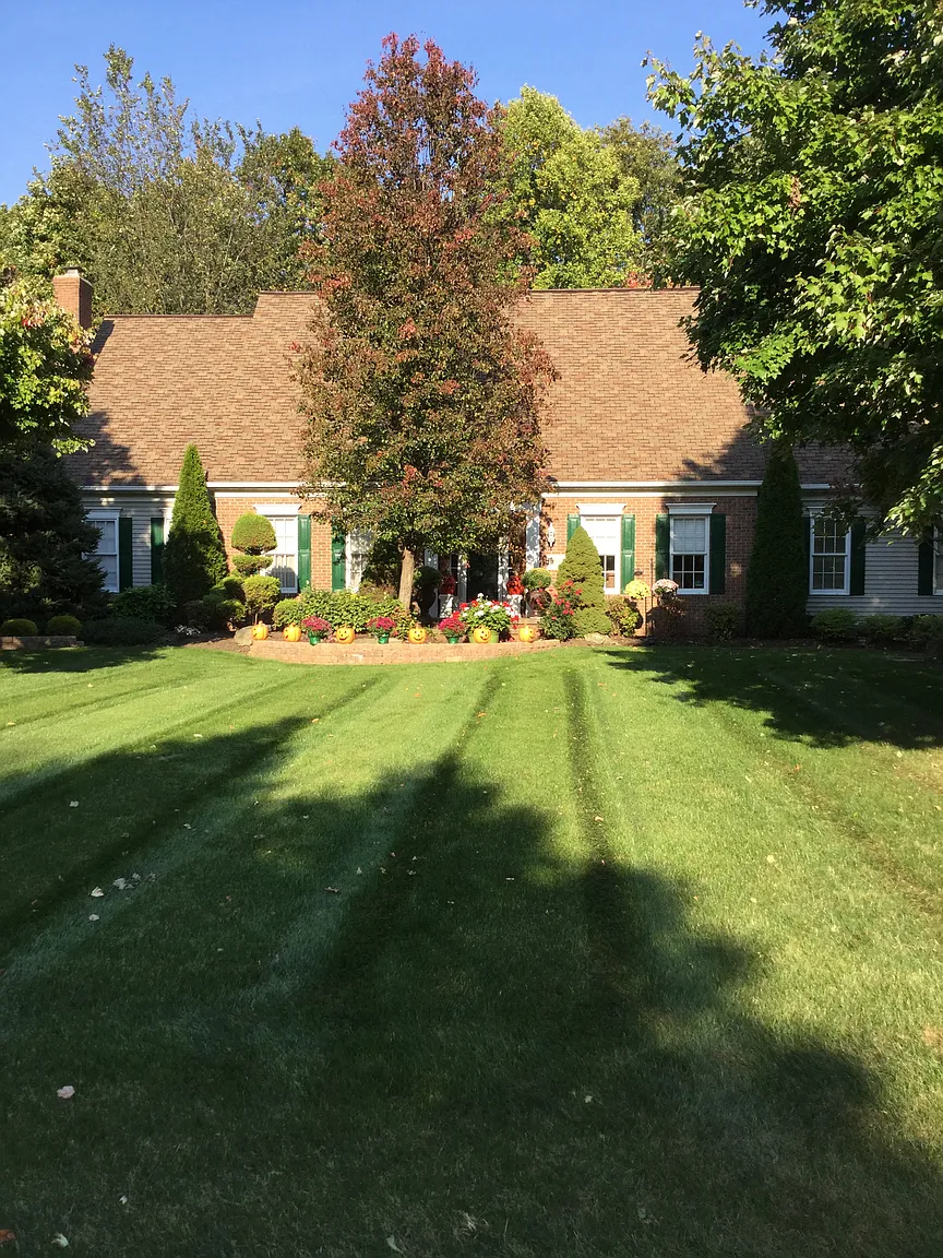 5699 Canyon Ridge Dr photo 1