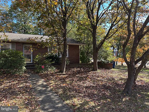 2nd image of 19 Sussex Ave