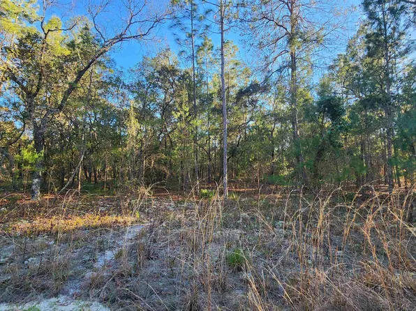 125 Strawberry Ln, Pomona Park, FL 32181