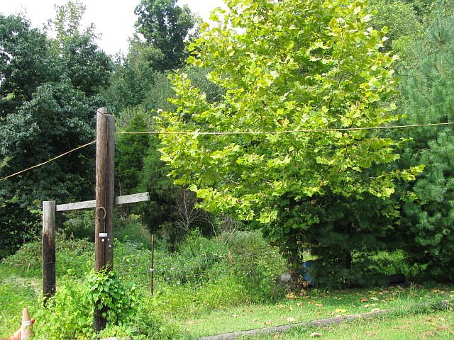 2nd image of 1152 Magan Rd