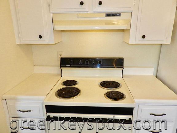 Electric range and fan hood