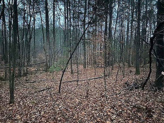 5th image of 4215 Rocky Creek Dr