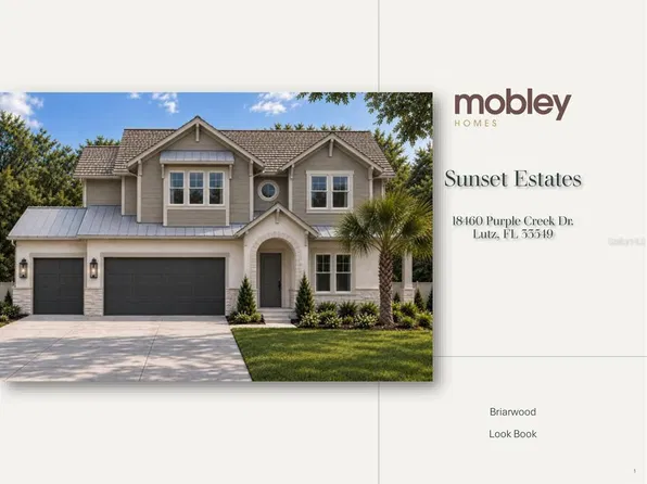 18460 PURPLE CREEK LANE, LUTZ, FL 33549