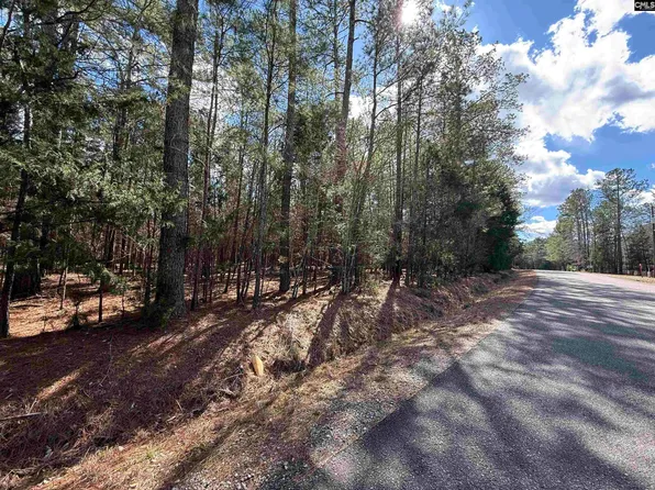 0 Ruby Riser Rd #110, Batesburg, SC 29006