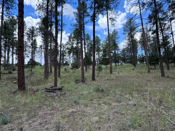 1 Paradise Valley Ct, Timberon, NM 88350