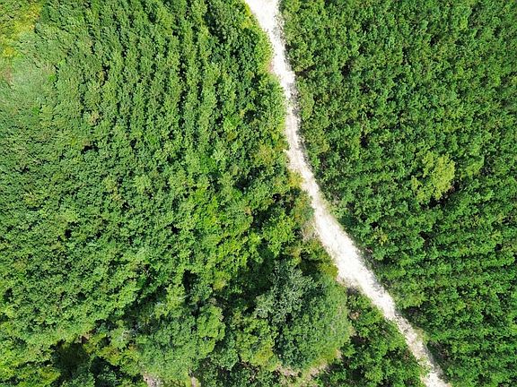 Dji Fly 20260821 120452 50 1787329243085 Photo Optimized