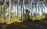 1st image of L-387 N Hampton Club Way