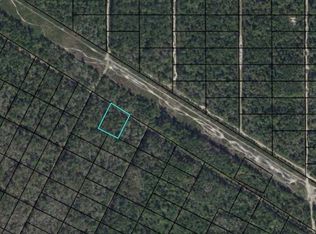 0 Noel St #1, Hastings, FL 32145