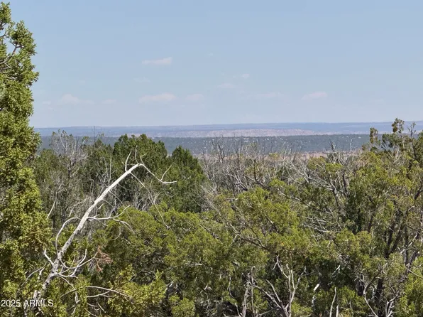 Lot 178 Red Sky Ranch -- #178, St Johns, AZ 85936