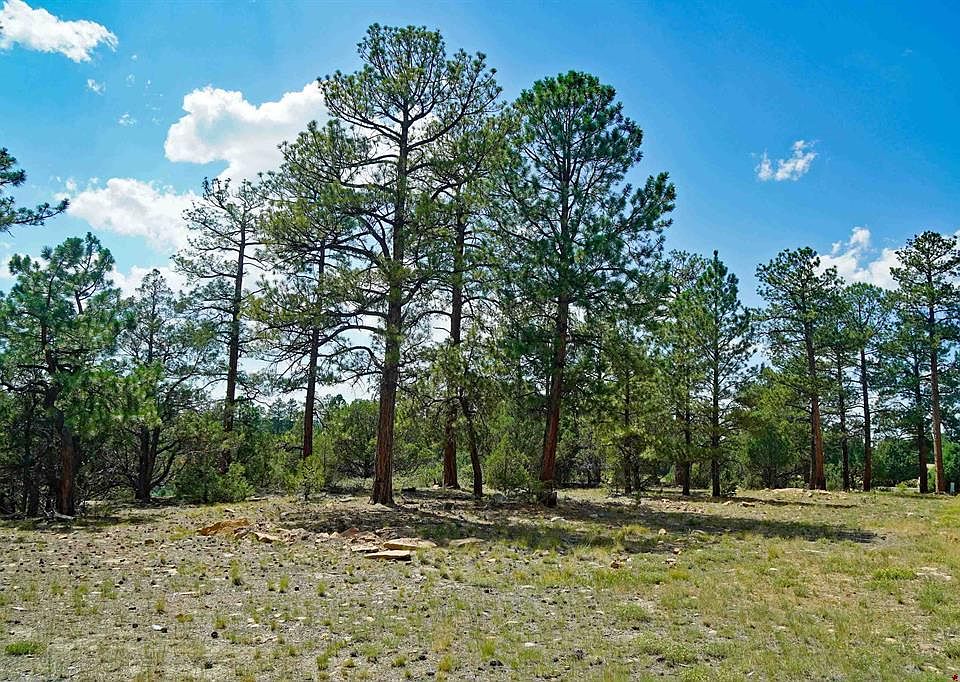 1st image of TBD Hummingbird Trail