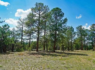 TBD Hummingbird Trail, Ridgway, CO 81432