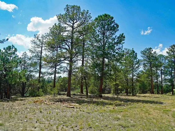 TBD Hummingbird Trail, Ridgway, CO 81432