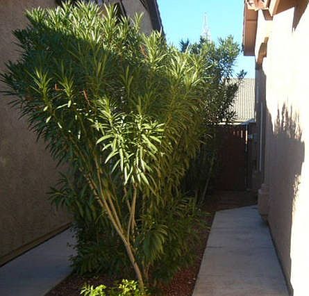 2nd image of 6610 E University Dr Unit 122