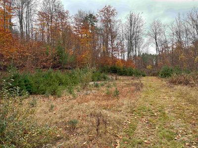 West Street, Antrim, NH, 03440