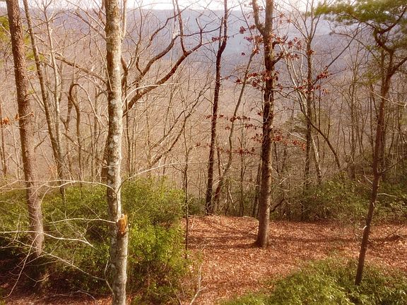 3rd image of 0 Ravens Den Rd #8