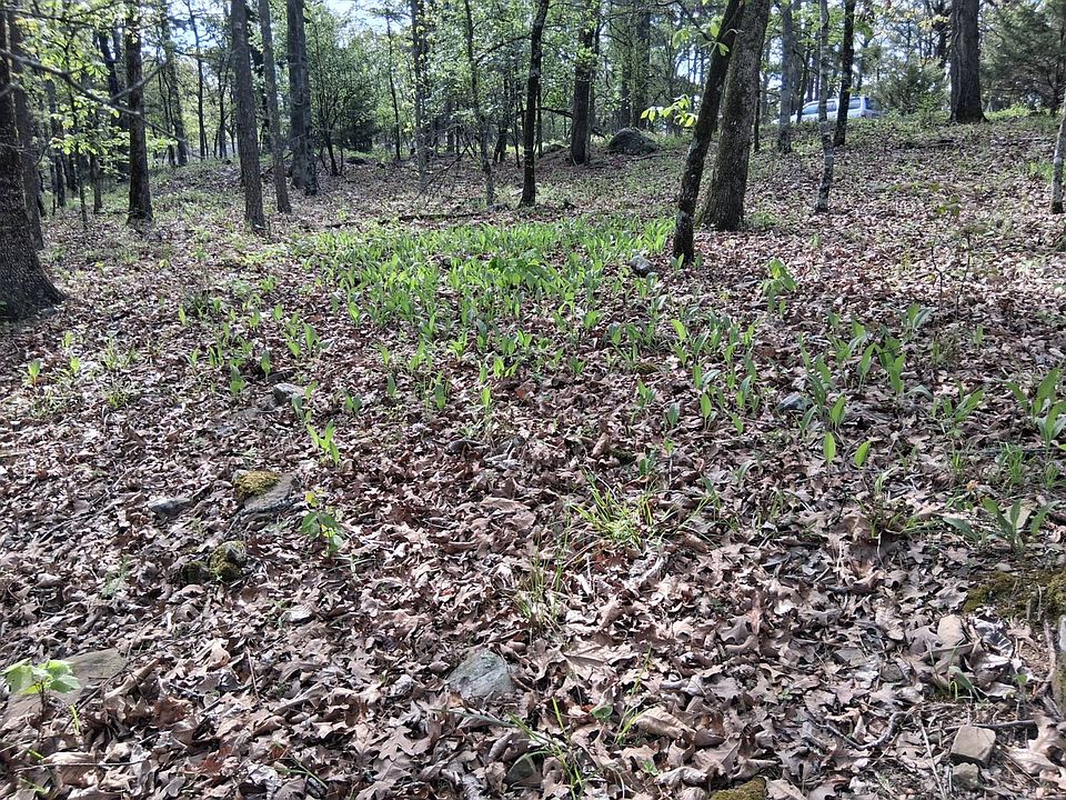 1st image of 0 SE 180th Rd Tract 1