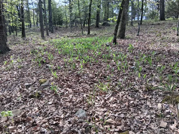 0 SE 180th Rd Tract 1, Talihina, OK 74571